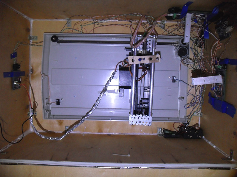 innards