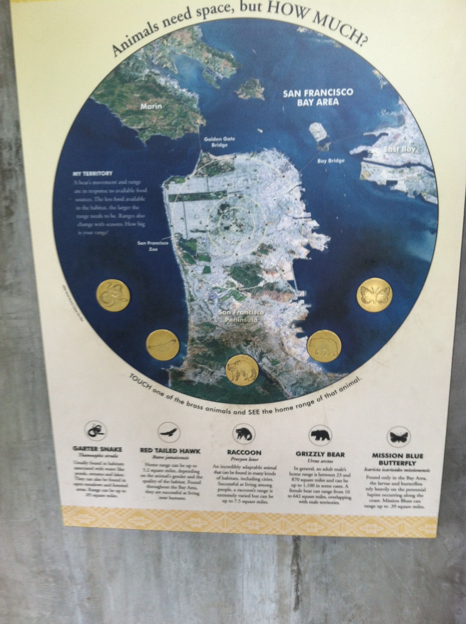 SF Zoo territory-map display