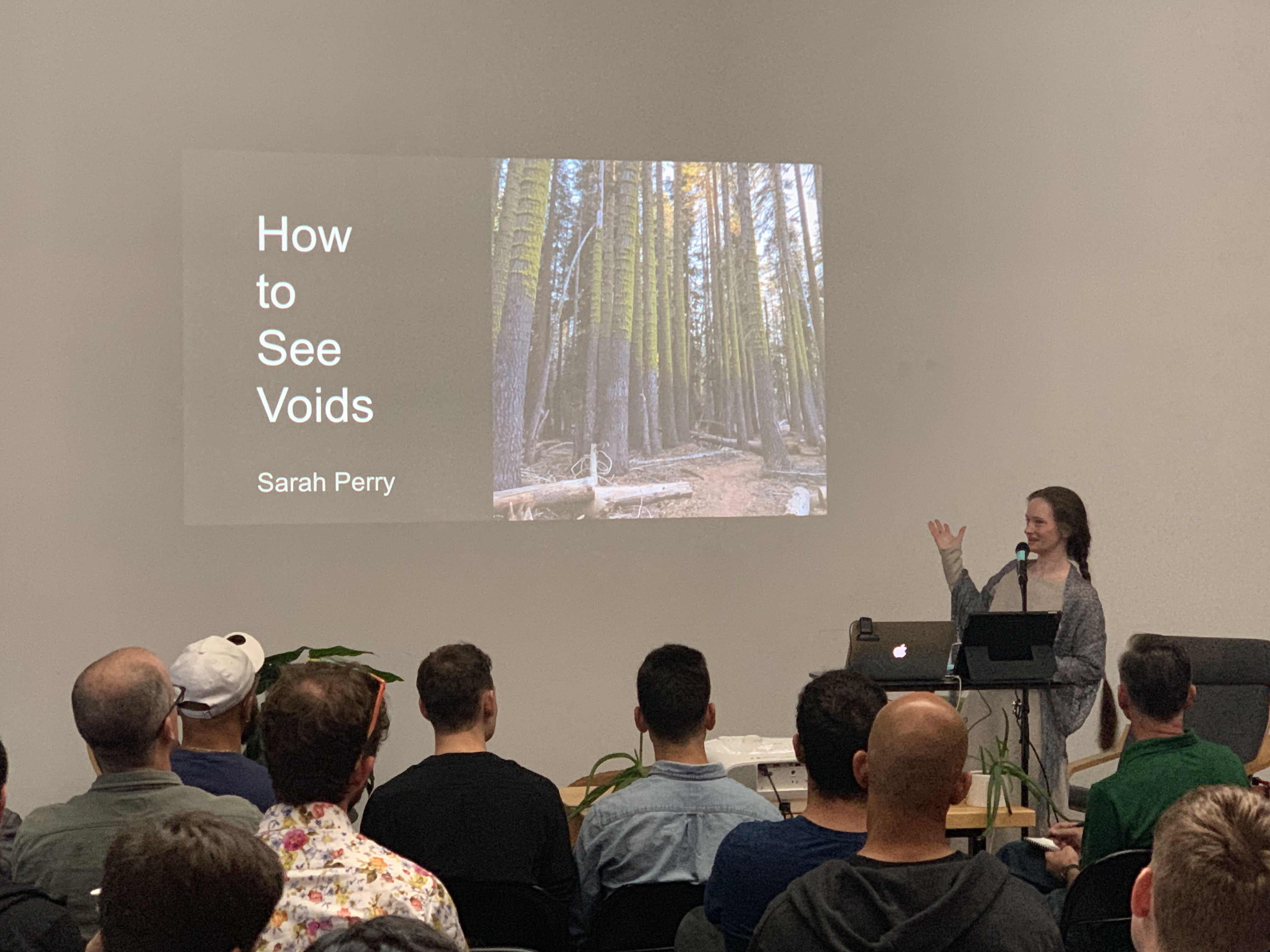 Sarah Perry: “How to See Voids”